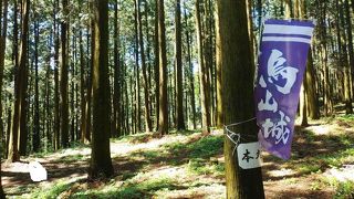 山城跡でちょっとした登山あり