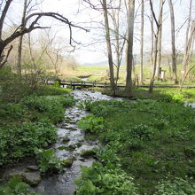 姫川源流エリアは5月初旬でも、既に新緑もまぶしく春の装い