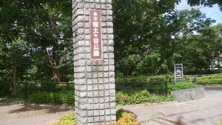 保土ヶ谷公園の木陰で一休み