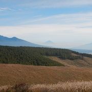 富士山が見えました!