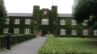 樹木、ツタに覆われた建物に癒されます