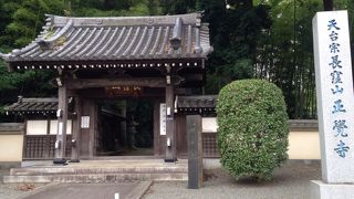 お庭に池に本堂と絵になる光景でした