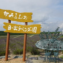 展望台付近にあるラベンダー園