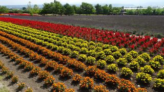 ここをみれば他は行けない