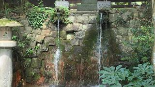 見所のたくさんあるお寺