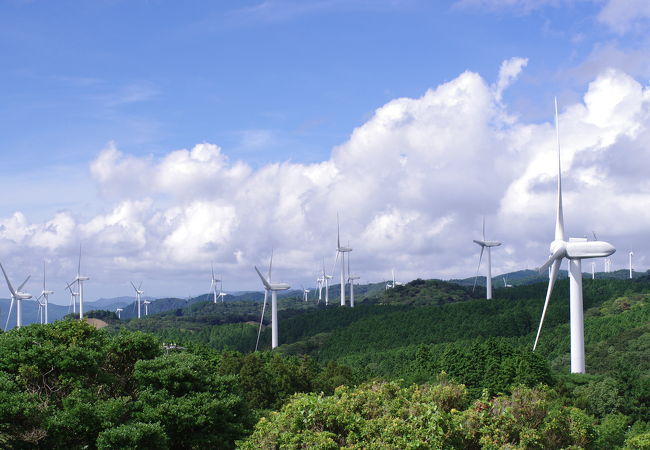 圧巻の風力発電