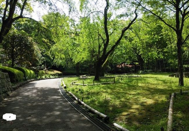 真鶴駅近くの高台にある公園