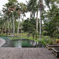 プールの景観は最高！