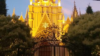 お食事はオススメできません