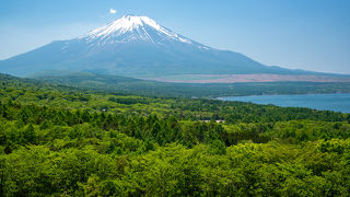 山中湖を観る絶景ポイント