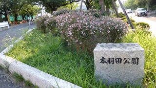 特に何もないです