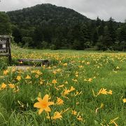 福島県側から行く尾瀬