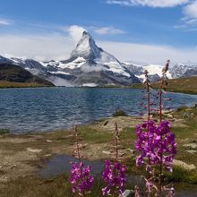  来た方を振り返るとマッターホルンは風波が強く湖に映らず
