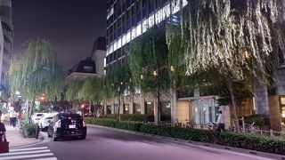 柳の木が印象的でした