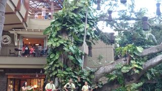 活気が出てきて嬉しいです