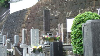 （再訪）夏はトンビと蚊にご用心