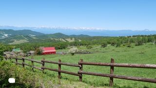 アルプスの眺めが素晴らしい牧場