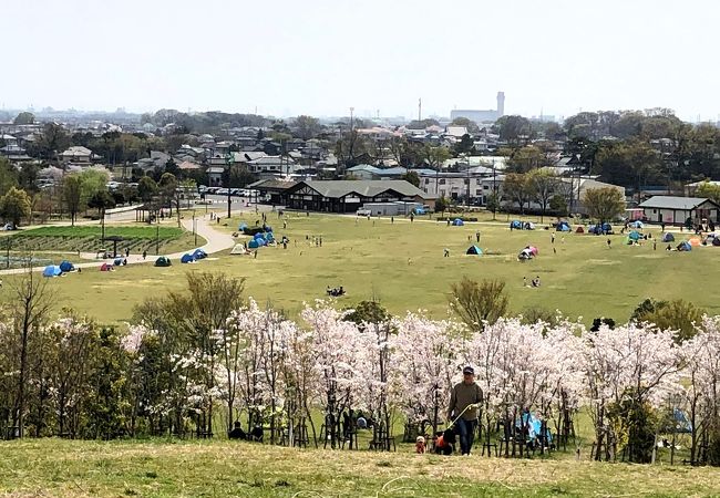まつぶし緑の丘公園 クチコミ アクセス 営業時間 三郷 吉川 フォートラベル