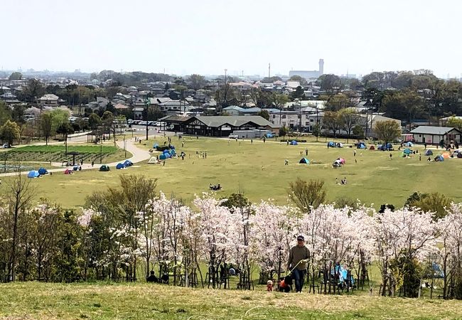 地元のお勧め公園