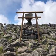 山頂がとても広い独立峰