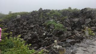 ロープウェイで登れる高原散歩