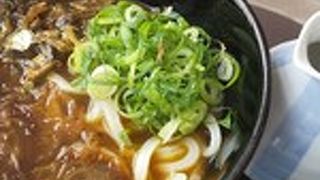 本格的な讃岐うどん