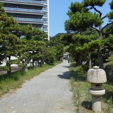 半島につながる参道