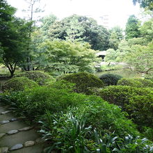 池から離れると起伏が多い