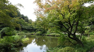 緑がいっぱいの回遊式庭園