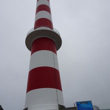 見上げると迫力があります