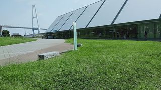 綺麗で大きくて楽しめる