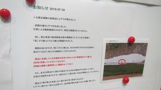 【注意】2019年の夏は白雲小屋周辺に熊が居ついている模様