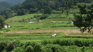 自然豊かでもある