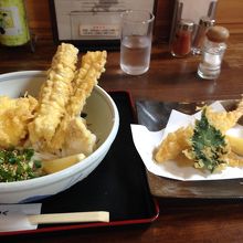 シコシコのうどん＆サクサクの天麩羅!最高です。