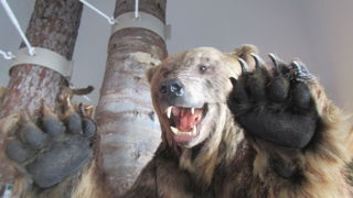 有用な山情報を掲示していて、登山前には必ず寄りたいところ