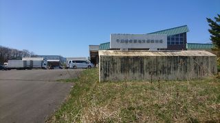 いつ開店しているの？