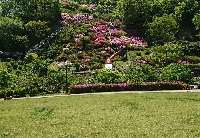 広い芝生と長いローラー滑り台