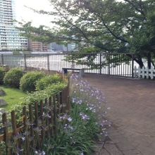 水辺の癒しの空間です。