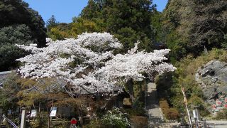 厄除けのお寺です。