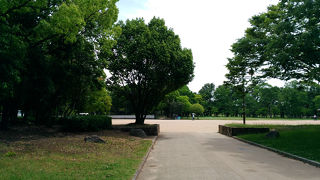 広くて色んな施設があります