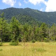 湿原と穂高連峰の眺望に感動