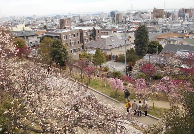 岡本梅林公園