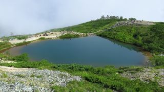 ビューポイント