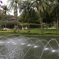 ヒルトンの庭です