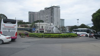 ドルフィン サークル