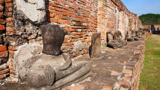 木に埋まった仏頭がある遺跡