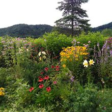 ハイウェイガーデン