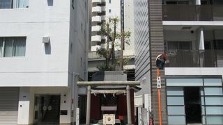 境内とともに社殿奥の銀杏の木なども立派な稲荷神社です