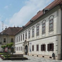 市立博物館になっているヘルツェル宮殿