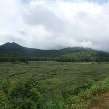 大谷地湿原